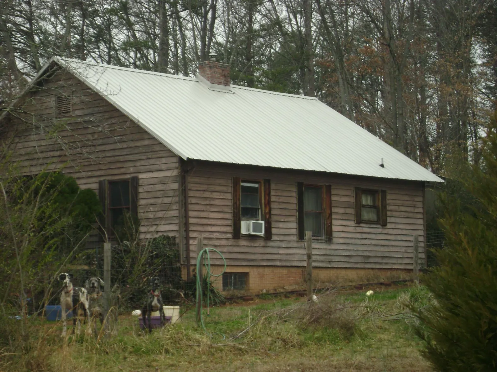 White metal roof on an old wood sided farmhouse, from a Asphalt Shingle Roof Repair job in Old Lyme